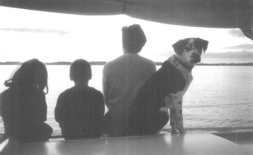 A New Zealand Sunset